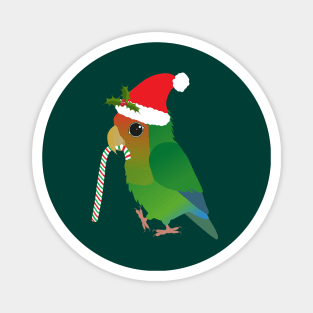 A cute Christmas peach faced lovebird Magnet